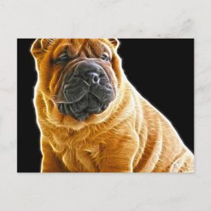 Wrinkles, den kinesiska Hund Shar Pei Puppy Vykort