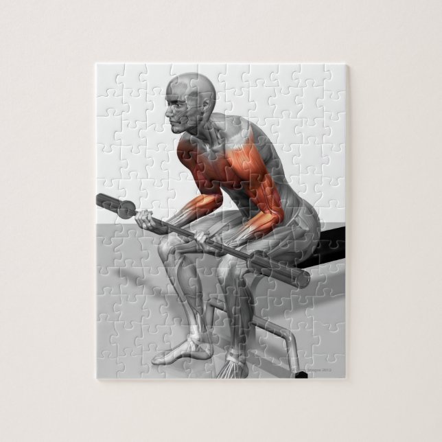 Wrist Curls Pussel (Vertikal)