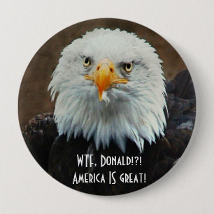 WTF Donald? Örn Knapp