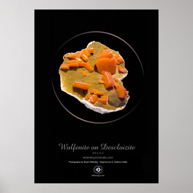 WULFENITE POSTER (Framsidan)