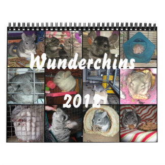 Wunderchins 2012 kalender