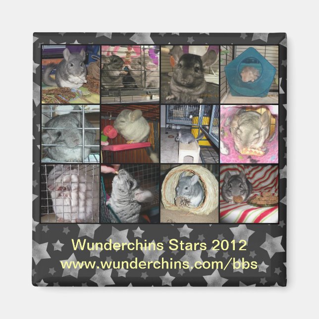 Wunderchins 2012 magnet (Framsidan)