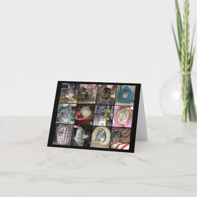 Wunderchins 2012 notecards kort (Framsida)