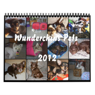Wunderchins daltar kalender 2012