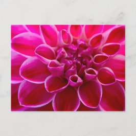 Wunderschöner rosa-rosa-farbener Blütengruß Vykort