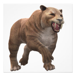 Wunderschöner Säbelzahntiger  Fototryck