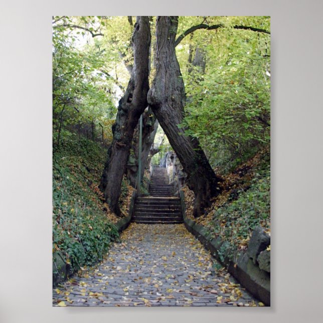 Wurzburg, Tyskland Poster (Framsidan)