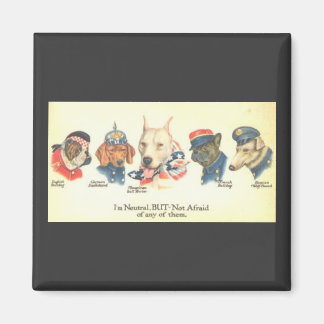 ww1 magnet