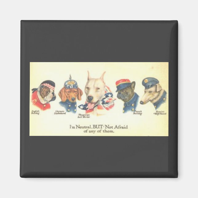 ww1 magnet (Framsidan)