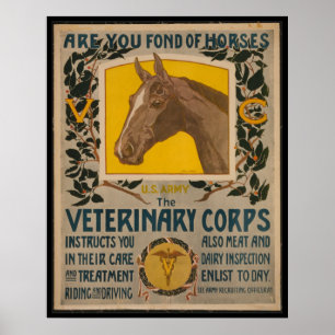 WW1 VINTAGE Vet. Poster