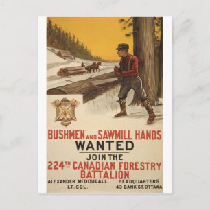 WW I ~ 224th Canadian Forestry Battalion 1915 Vykort