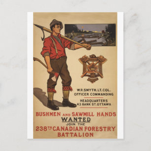 WW I ~ 238th Canadian Forestry Battalion 1915 Vykort