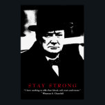 WWII Citat Winston Churchill Motivational Pop Art Poster<br><div class="desc">Frihet och mod Motivational Eagles Bilder - Rädda amerikanska Örn - Vår underbarare ära är inte att aldrig falla utan att stigning varje gång vi faller.</div>