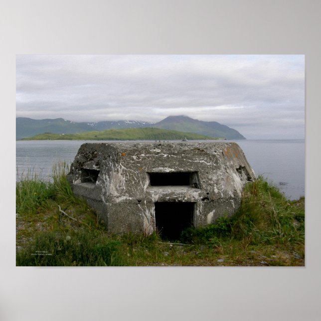 WWII Pillbox på nederländska Harbor, Alaska Poster (Framsidan)