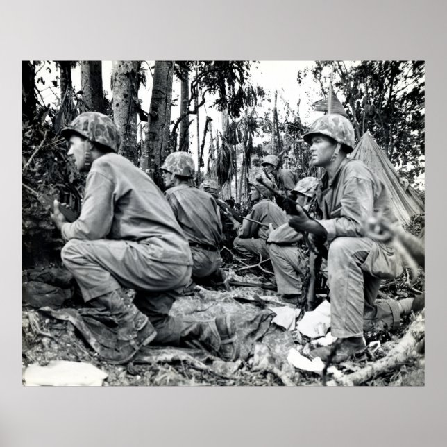 WWII US Marines on Peleliu Poster (Framsidan)