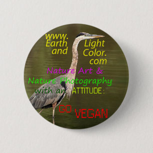 WWW.EARTHLIGHTANDCOLOR.COM KNAPP