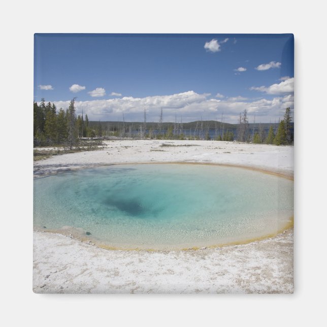 WY, Yellowstone National Park, West Thumb Geyser Magnet (Framsidan)