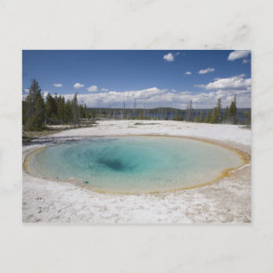 WY, Yellowstone National Park, West Thumb Geyser Vykort