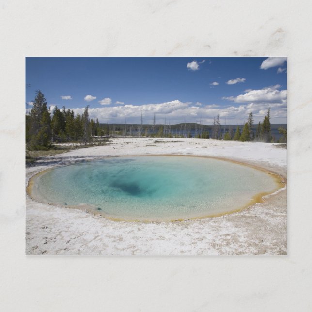 WY, Yellowstone National Park, West Thumb Geyser Vykort (Framsida)