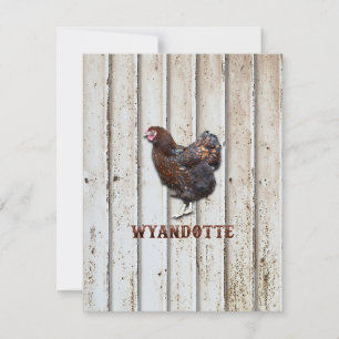 Wyandotte Chicken Tack Kort