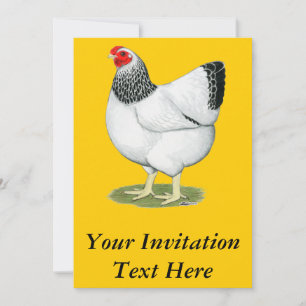 Wyandotte: Columbian Hen Inbjudningar