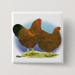 Wyandotte: Golden-laced Pair Knapp
