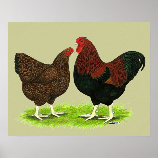 Wyandotte: Partridge Pair Poster (Framsidan)