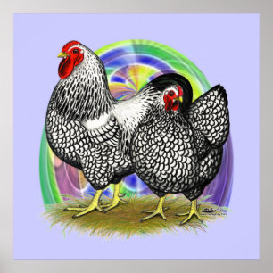 Wyandotte: Påskägg Pair Poster
