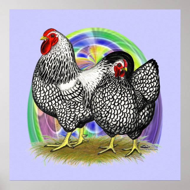 Wyandotte: Påskägg Pair Poster (Framsidan)