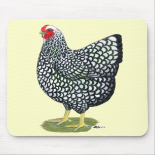 Wyandotte: Silver-laced Hen Musmatta