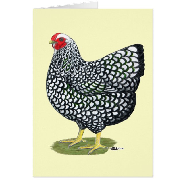 Wyandotte: Silver-laced Hen OBS Kort (Framsidan)