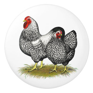 Wyandotte:  Silver parar Knopp