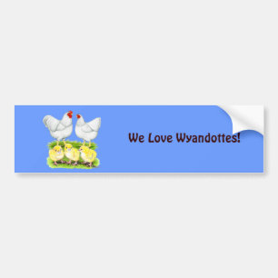 Wyandotte Vit Kycklingfamilj Bildekal
