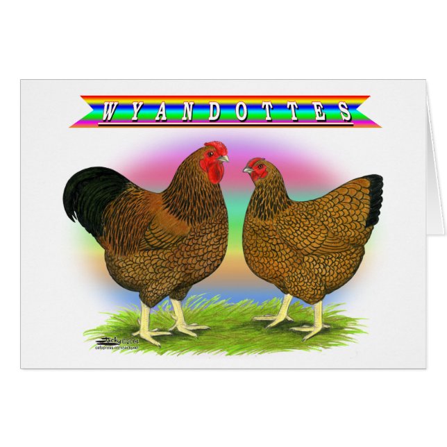 Wyandottes: Golden-laced Rainbow OBS Kort (Framsidan Horizontal)