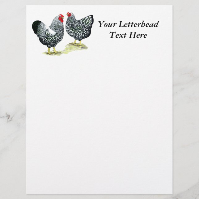 Wyandottes Silver-laced Pair (Framsida)