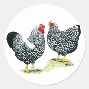 Wyandottes Silver-laced Pair Runt Klistermärke