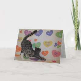 Wyatt The Cat's Conversation Hearts Valentine's Helgkort