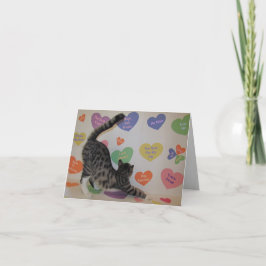 Wyatt The Cat's Conversation Hearts Valentine's Helgkort