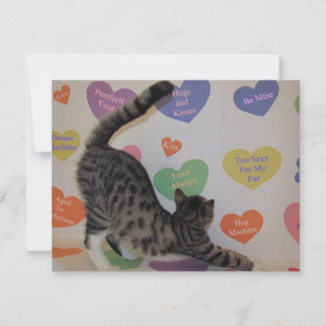 Wyatts Valentine - Katt/Kitten - Flat Card Julkort (Framsida)
