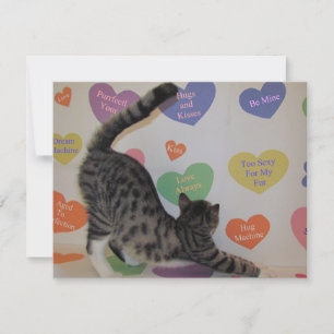 Wyatts Valentine - Katt/Kitten - Flat Card Julkort