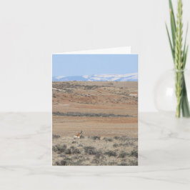 Wyo Speed Goat - 4" x 5.6" Notkort Helgkort