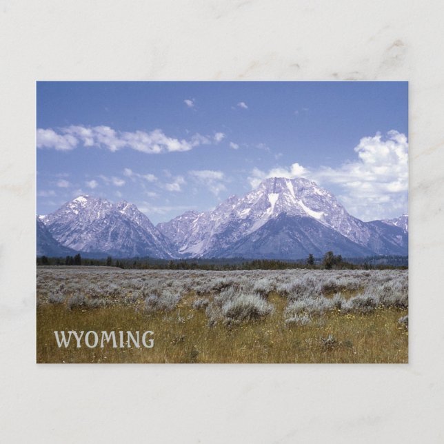 Wyoming Bergspostkort Vykort (Framsida)