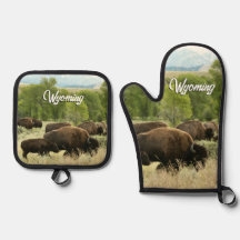 Wyoming Bison Natur Djur Fotografi