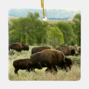 Wyoming Bison Natur Djur Fotografi Julgransprydnad Keramik