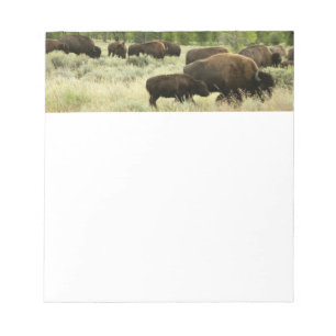 Wyoming Bison Nature Animal Photography Anteckningsblock