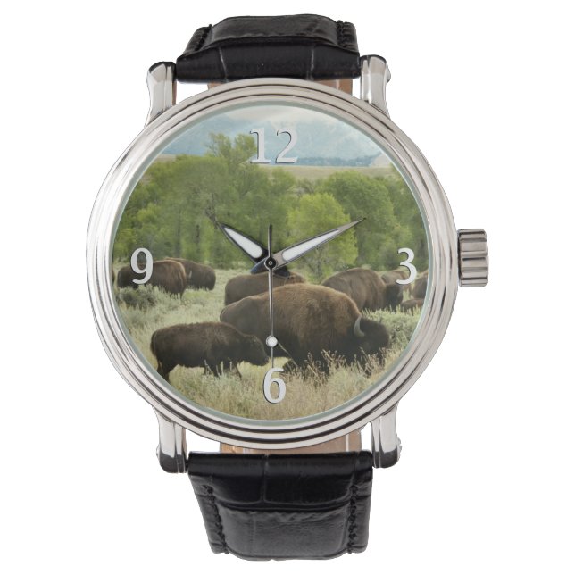 Wyoming Bison Nature Animal Photography Armbandsur (Framsida)