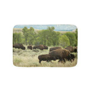Wyoming Bison Nature Animal Photography Badrumsmatta