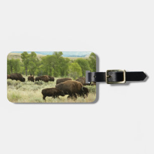 Wyoming Bison Nature Animal Photography Bagagebricka