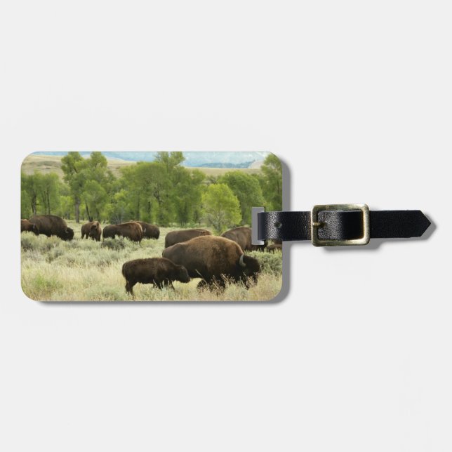 Wyoming Bison Nature Animal Photography Bagagebricka (Horisontell Framsida)