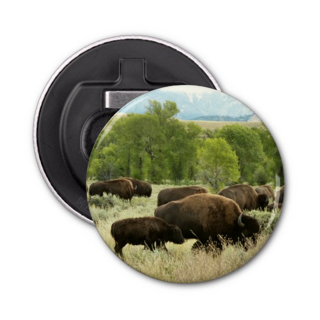 Wyoming Bison Nature Animal Photography Flasköppnare (Framsidan)